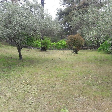 Villa Leo Glykadi Esterno foto