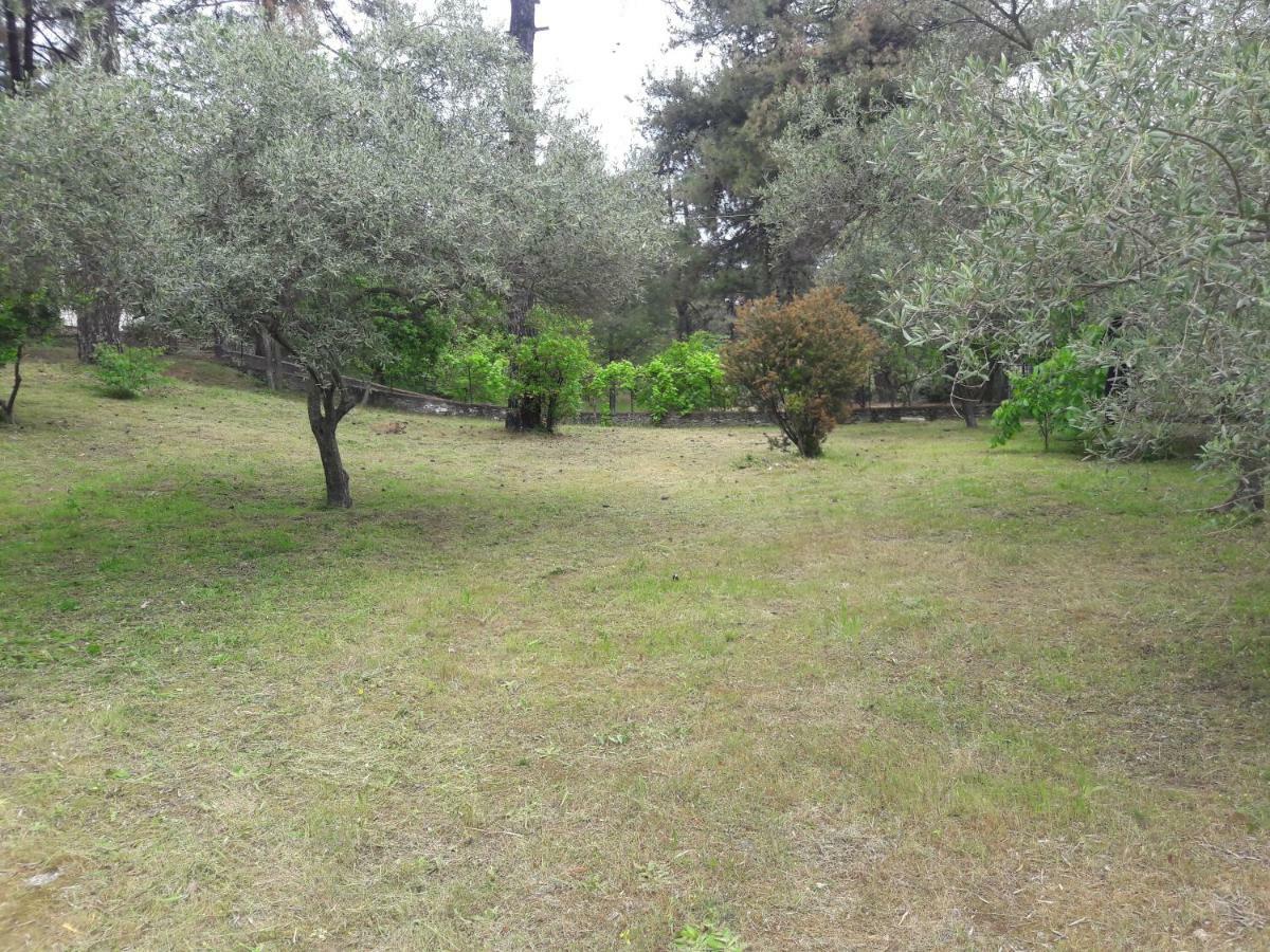 Villa Leo Glykadi Esterno foto
