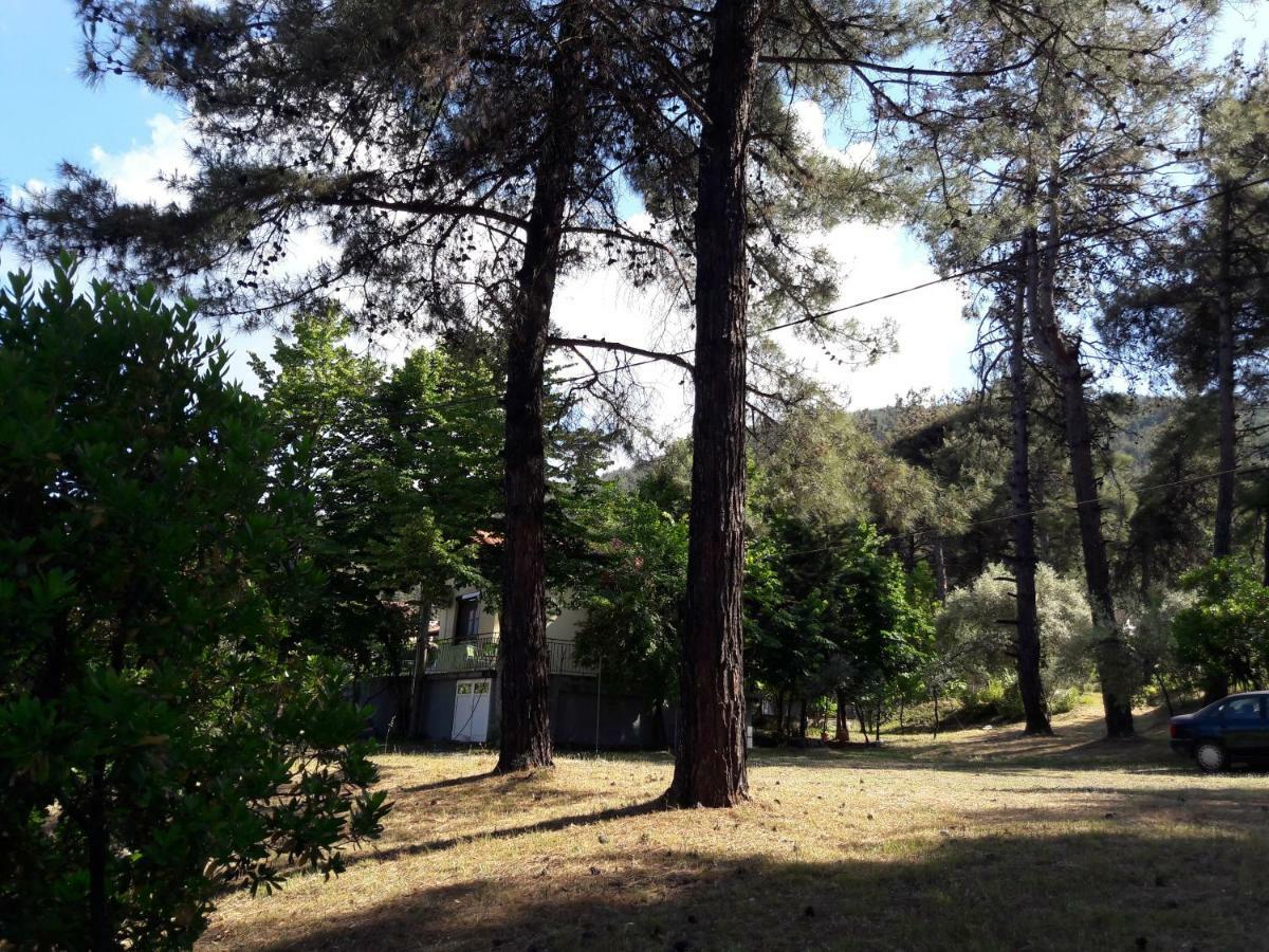 Villa Leo Glykadi Esterno foto